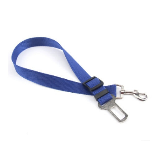 Durable Dog Leash – Fixed-Length Polyester Lead for Daily Use