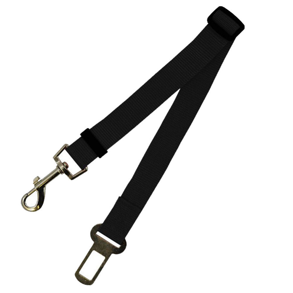 Durable Dog Leash – Fixed-Length Polyester Lead for Daily Use
