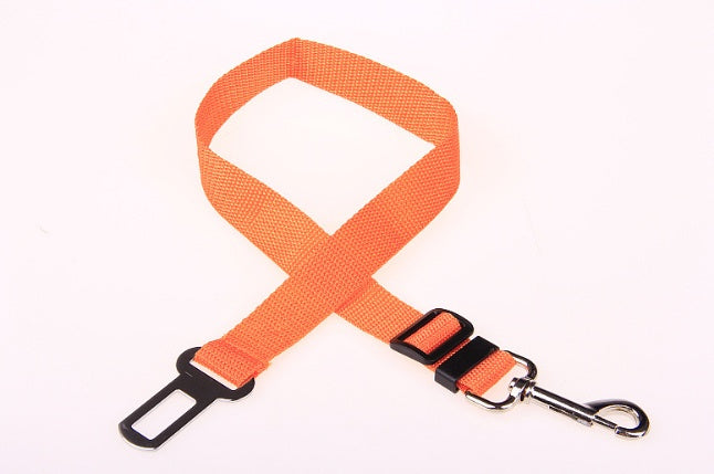 Durable Dog Leash – Fixed-Length Polyester Lead for Daily Use