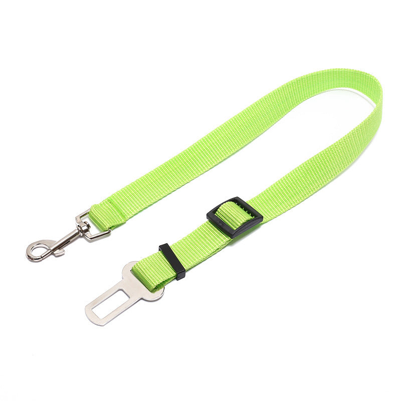 Durable Dog Leash – Fixed-Length Polyester Lead for Daily Use