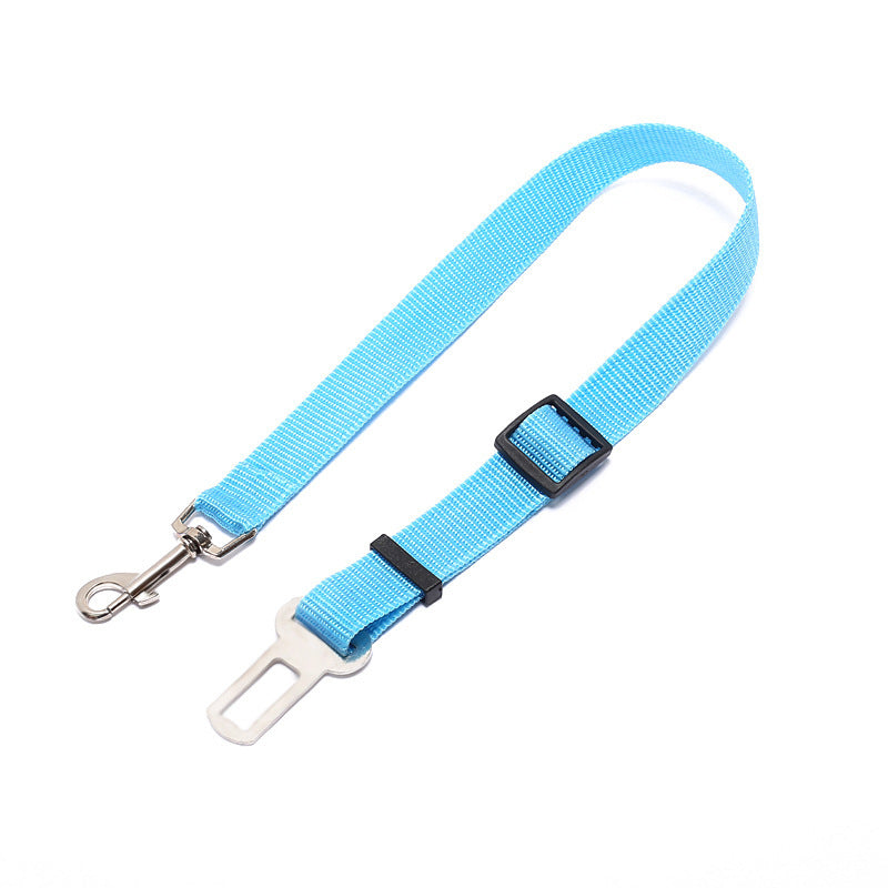 Durable Dog Leash – Fixed-Length Polyester Lead for Daily Use