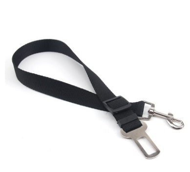 Durable Dog Leash – Fixed-Length Polyester Lead for Daily Use