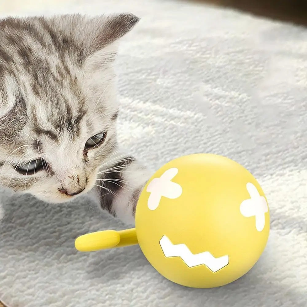 Smart Rolling Cat Toy Ball – USB Rechargeable Self-Play Motion Toy
