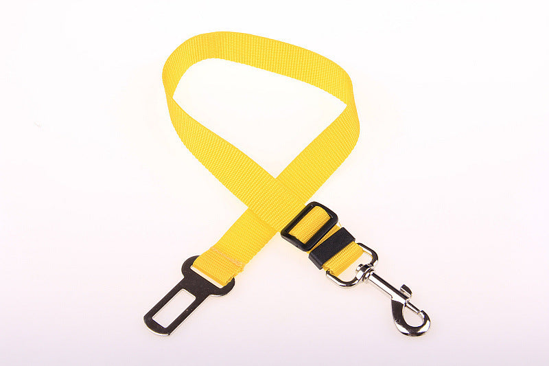 Durable Dog Leash – Fixed-Length Polyester Lead for Daily Use